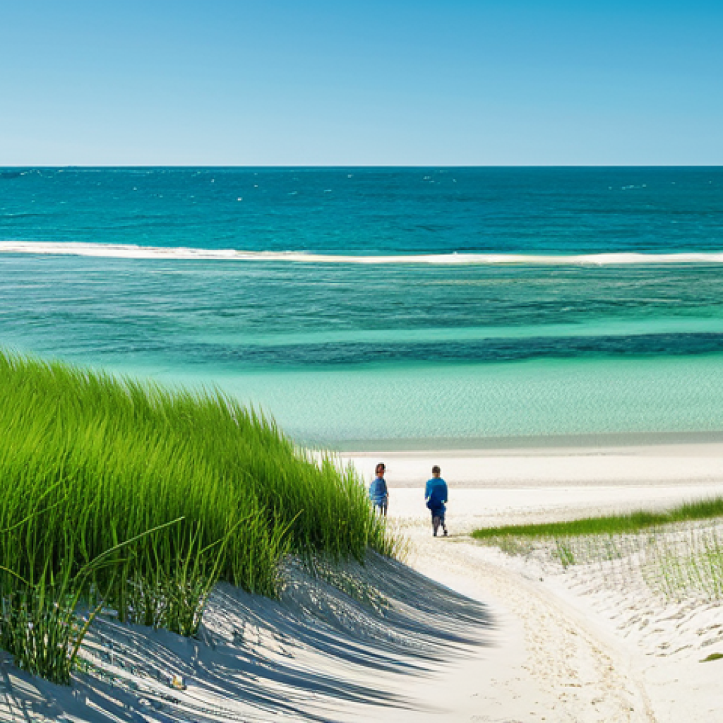 Coastal Protection**

"A serene coastal scene featuring lush seagrass meadows in the foreground, gently swaying in clear turquoise water, fully clothed families enjoying a pristine beach in the distance, appropriate attire, safe for work, demonstrating coastal protection from erosion, perfect anatomy, natural proportions, professional photography, high quality, vibrant colors, bright sunny day."

**