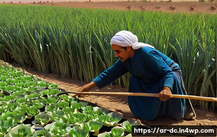 خمسة معايير أساسية لتقييم حلول المناخ القائمة على الطبيعة تحقق نتائج مذهلة 3 자연 기반 기후 솔루션의 평가 기준 관련 이미지 1