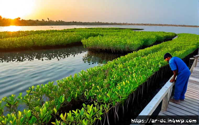 자연 기반 기후 솔루션의 성공 사례 분석 - Photorealistic wide-angle view of a successful coastal mangrove restoration project in an Arab Gulf ...